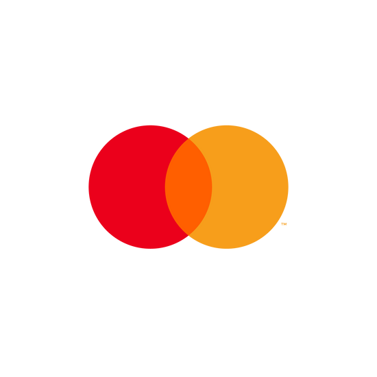 MasterCard Payment Logo Icon