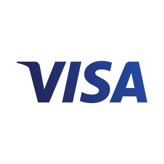 Visa Payment Logo Icon